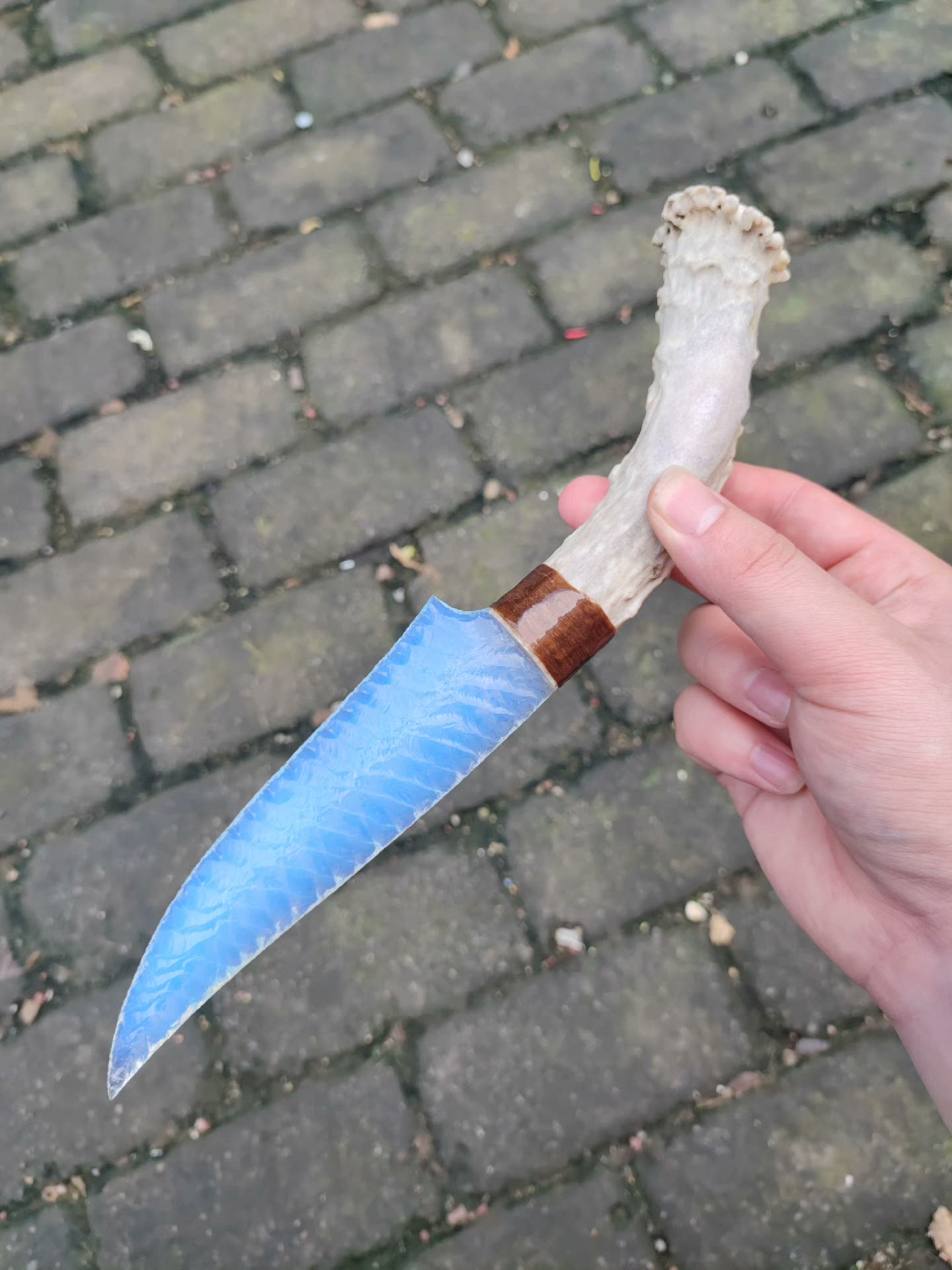 Wakȟáŋ's Weave Premium Stone Knife | Opal + White-tailed Deer Antler Handle | Master-Grade Pressure-Flaked Craftsmanship | Double-Sided Diagonal Web Pattern
