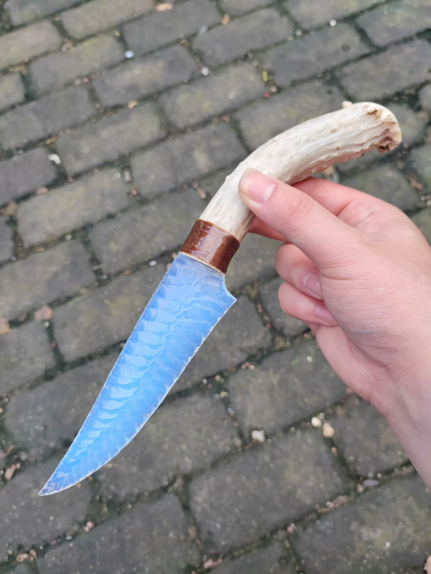 Wakȟáŋ's Weave Premium Stone Knife | Opal + White-tailed Deer Antler Handle | Master-Grade Pressure-Flaked Craftsmanship | Double-Sided Diagonal Web Pattern